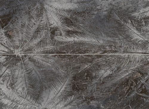 Tubadzin Sedona Palms 65,8x89,8 2-elementový dekor 